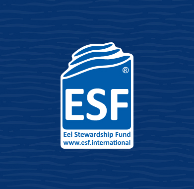 ESF in kader