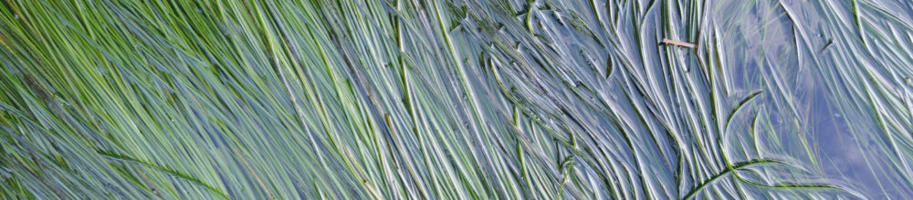 Sfeerfoto water in meer